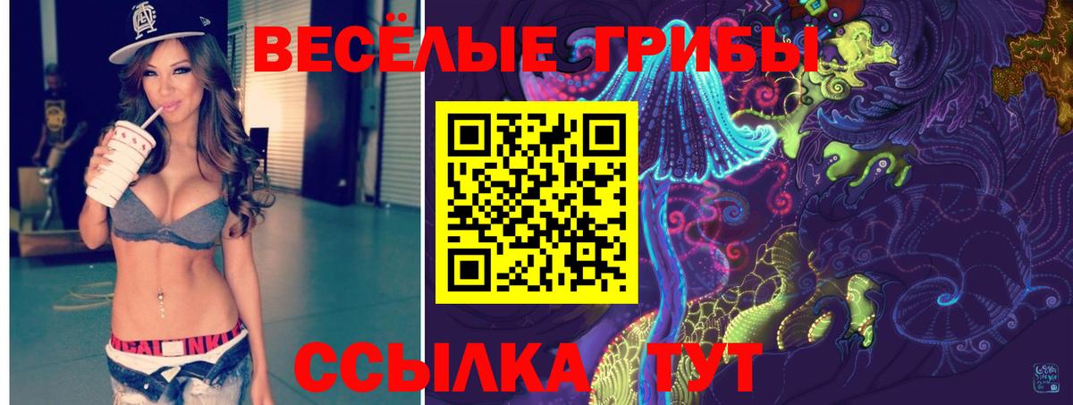 Псилоцибиновые грибы прущие грибы Асбест